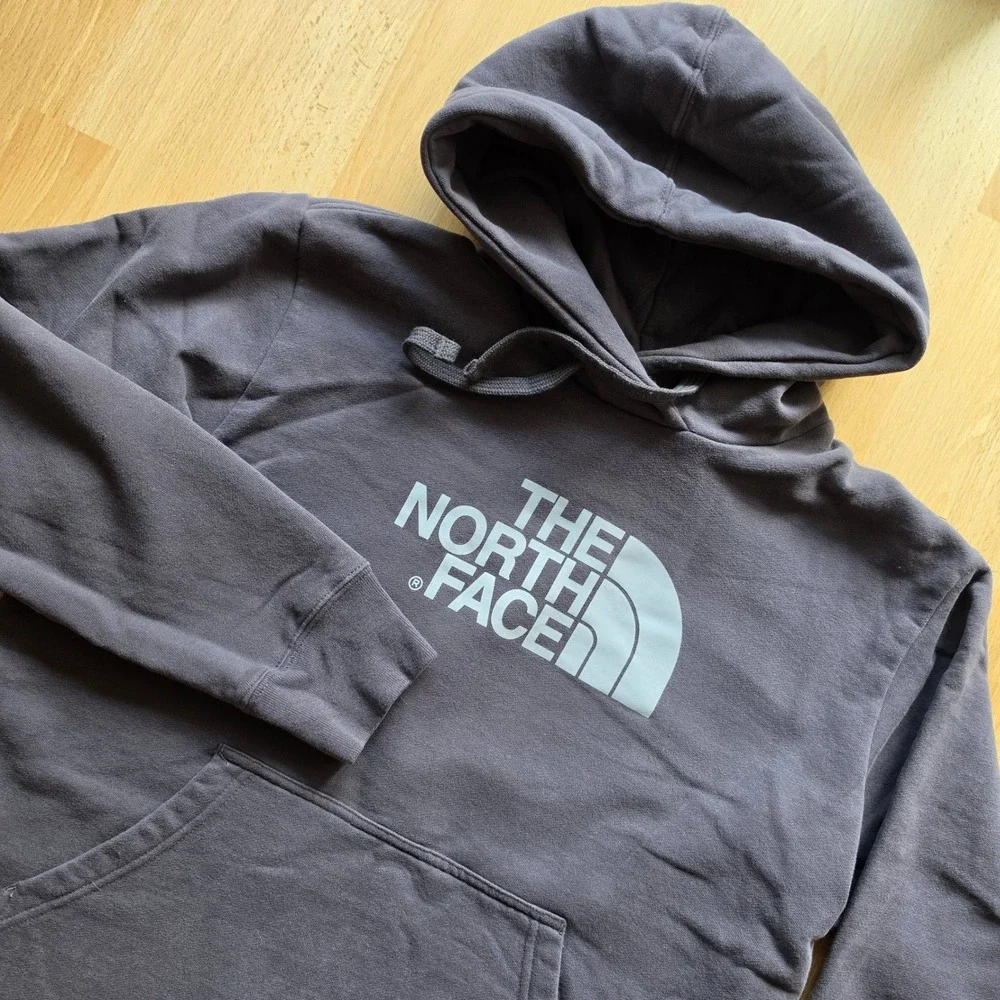 The North Face Mens Half Dome Logo Pullover Hoodie Dark Gray Large